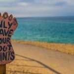 Building Robust Sustainability Strategies: Aligning ISSB and CSRD in a Shifting Landscape